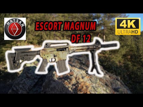 Hatsan Escort Sd12 Ts
